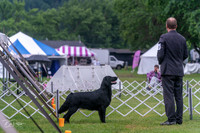 20250626-DSC02390