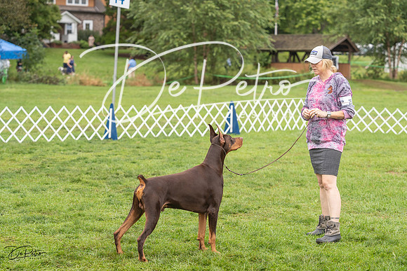 20230910-DSC01092