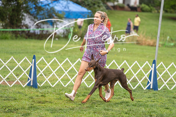 20230910-DSC01044