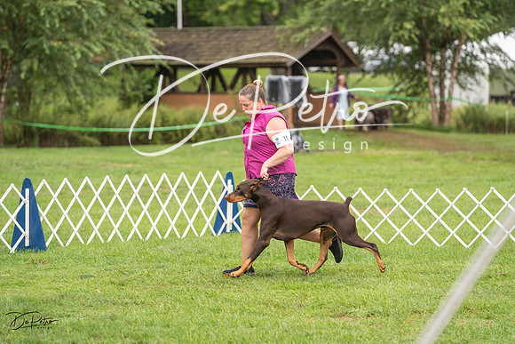 20230910-DSC01054