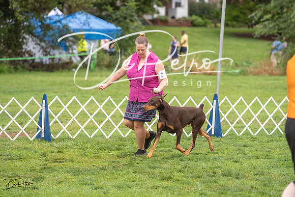 20230910-DSC01063