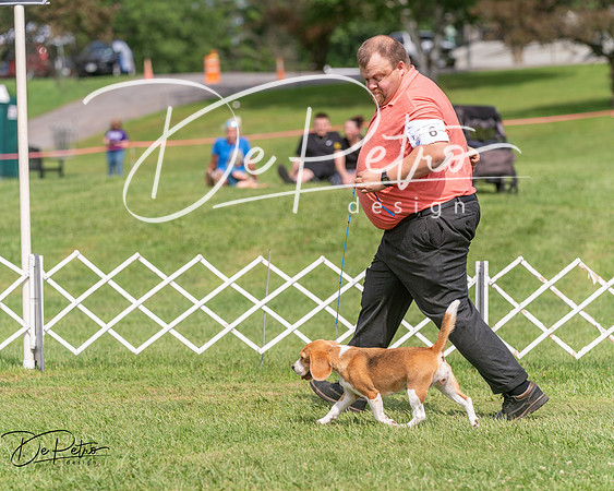 20250628-DSC08339