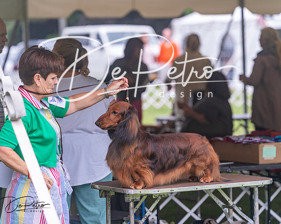 20250626-DSC04607