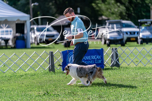 20240630-DSC04892