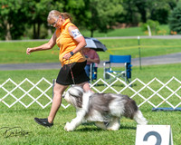 20250629-DSC00821