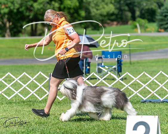 20250629-DSC00821