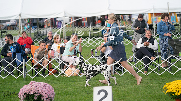 20230929-DSC03217