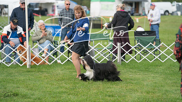 20230929-DSC03236