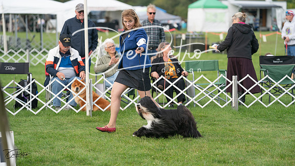 20230929-DSC03240