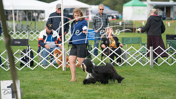 20230929-DSC03242