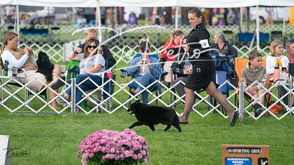 20230929-DSC03248