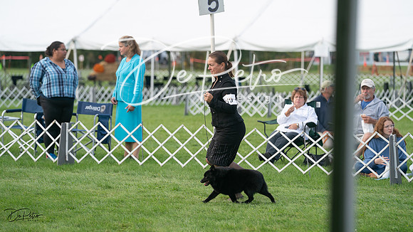 20230929-DSC03254