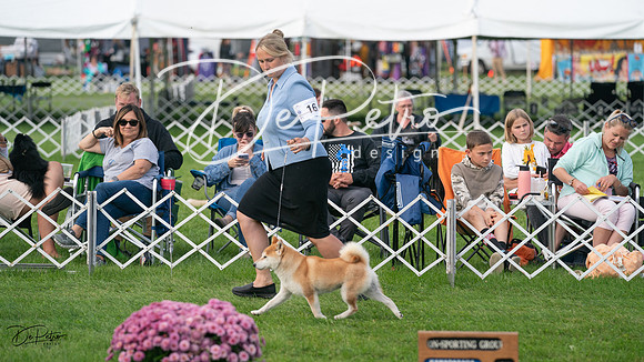 20230929-DSC03265