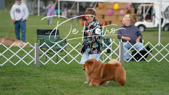 20230929-DSC03278