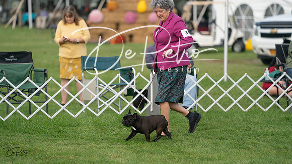 20230929-DSC03303
