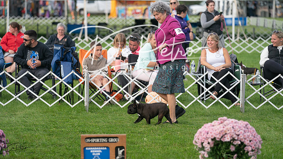 20230929-DSC03308