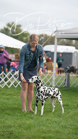 20230929-DSC03370