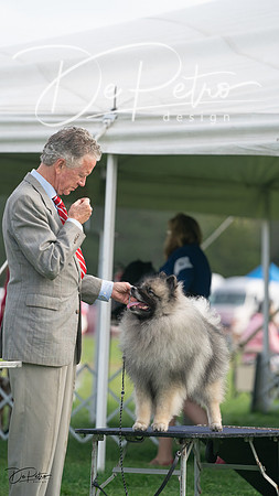 20230929-DSC03407