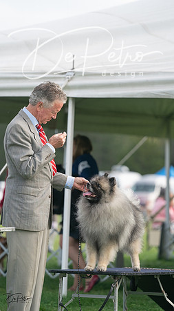 20230929-DSC03410