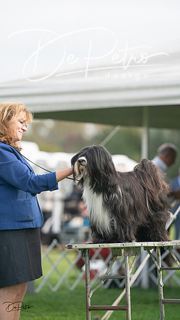 20230929-DSC03444