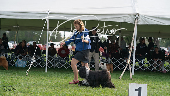 20230929-DSC03452