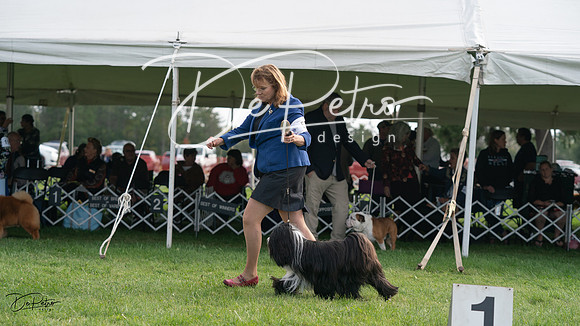 20230929-DSC03453