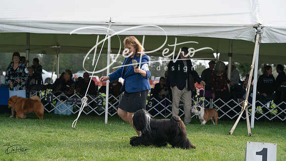 20230929-DSC03457