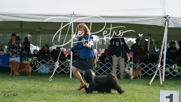 20230929-DSC03458