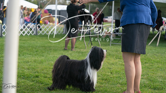 20230929-DSC03466