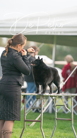 20230929-DSC03471