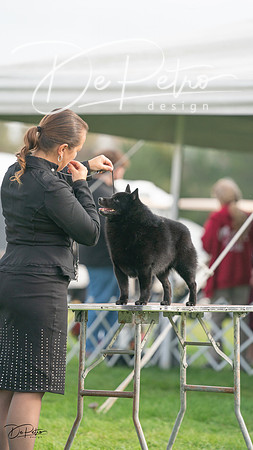 20230929-DSC03472