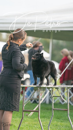 20230929-DSC03475