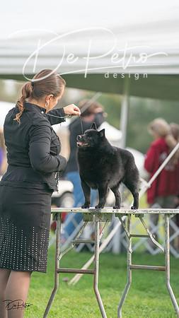 20230929-DSC03476