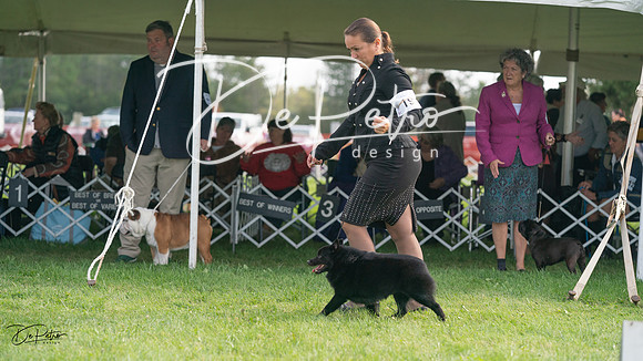 20230929-DSC03495