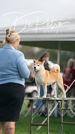 20230929-DSC03508