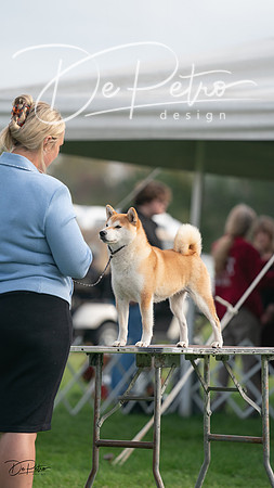 20230929-DSC03513