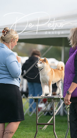 20230929-DSC03515