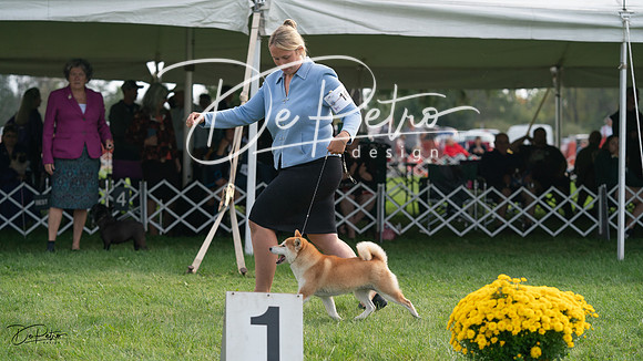 20230929-DSC03530