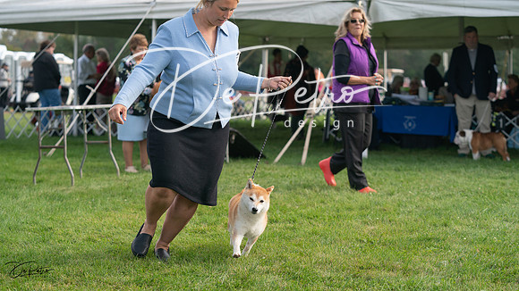 20230929-DSC03548