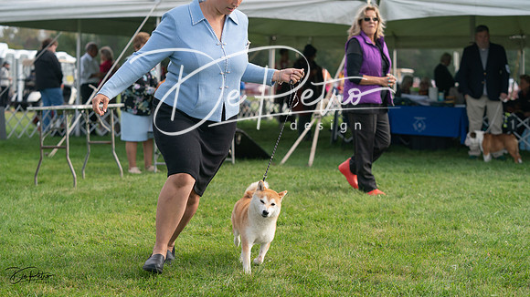 20230929-DSC03549