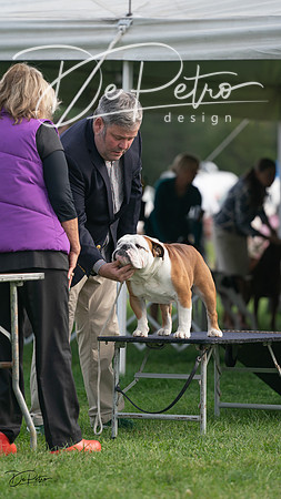 20230929-DSC03593