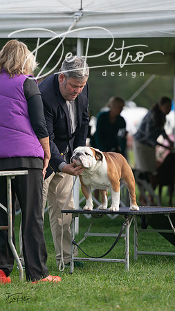 20230929-DSC03594