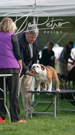 20230929-DSC03595