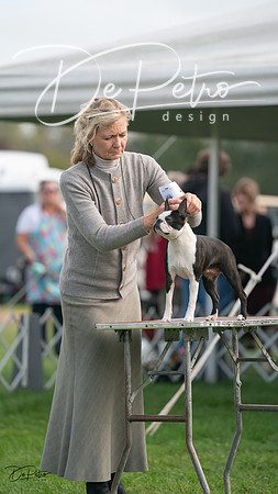 20230929-DSC03644