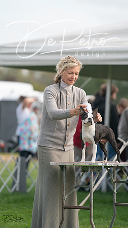 20230929-DSC03661