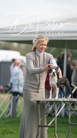 20230929-DSC03664