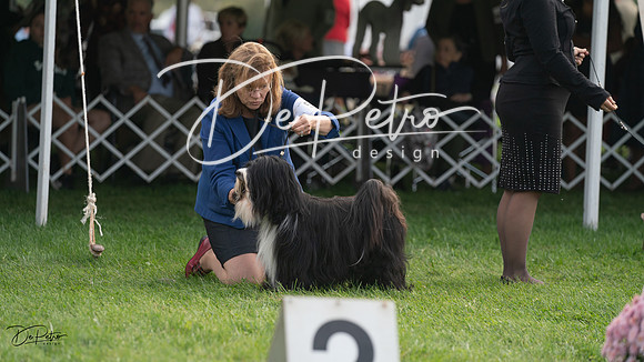 20230929-DSC03734