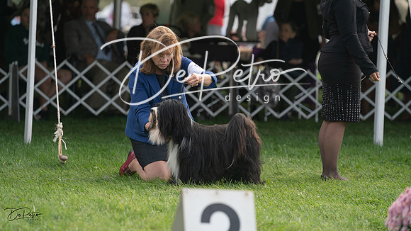20230929-DSC03736