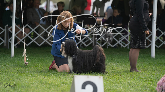 20230929-DSC03738