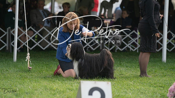 20230929-DSC03740